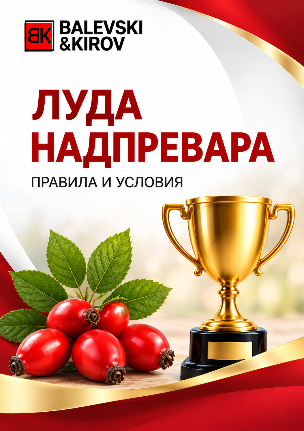 Луда надпревара — правила и условия